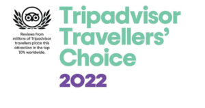 trip-advisor-2022