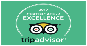 tripadvisor1